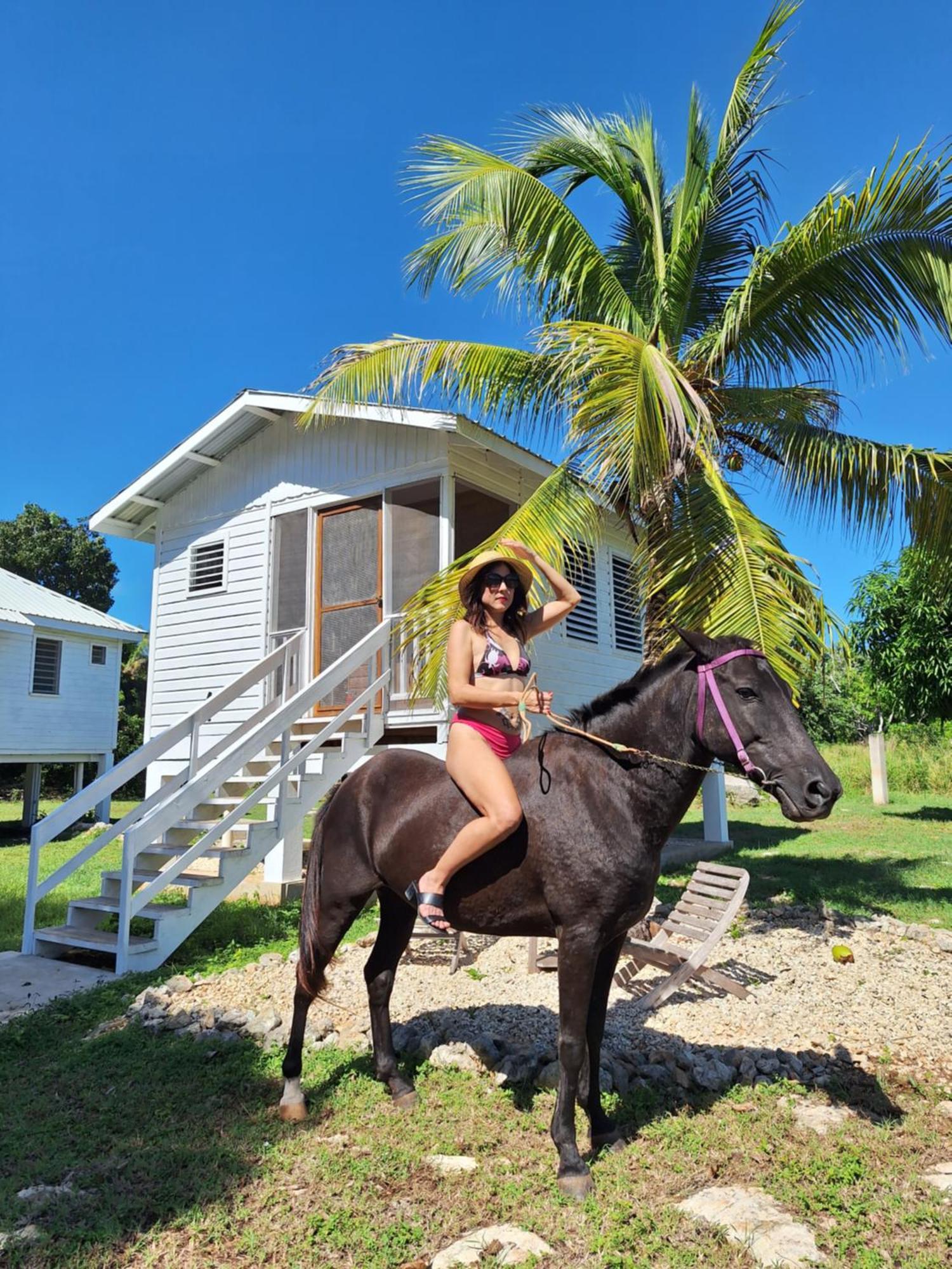 Horse Cottage Sarteneja 외부 사진